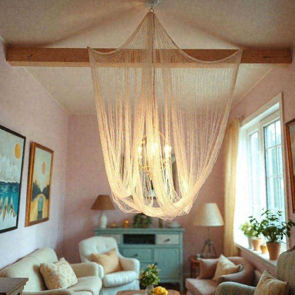 Dream : A net in a house in a dream