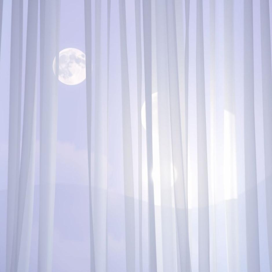 Dream : A white curtain hanging in a dream