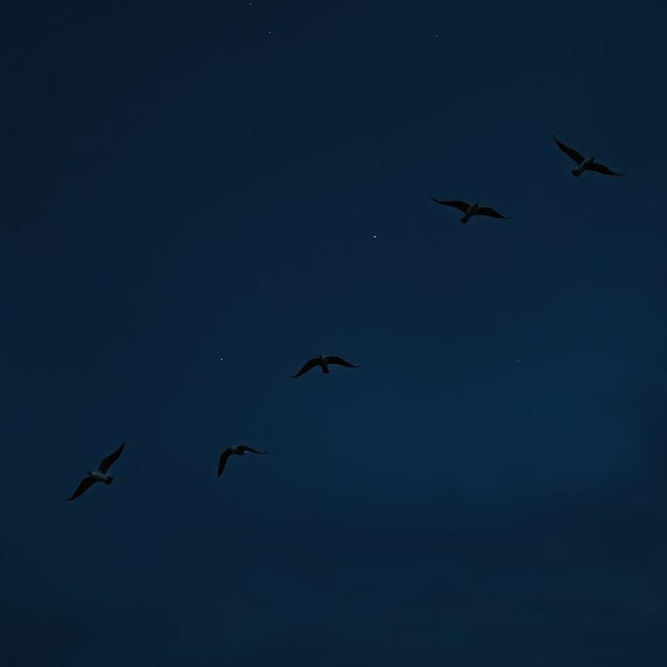 Dream : Birds flying at night in a dream