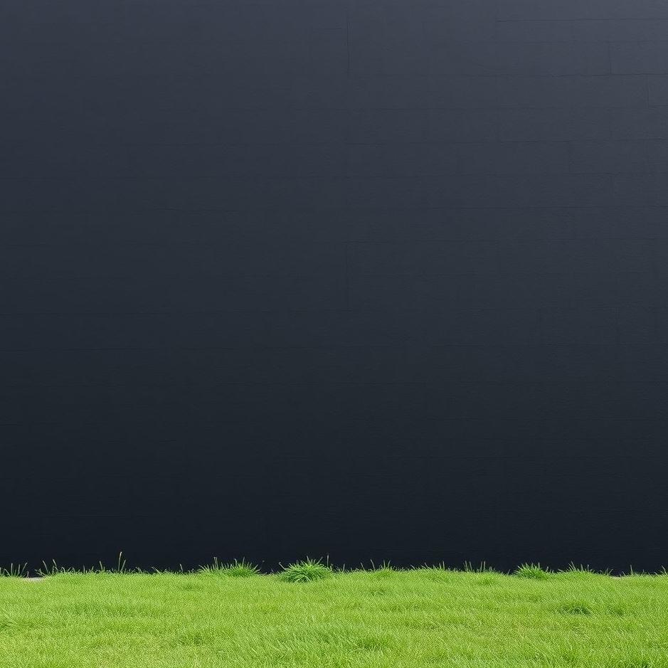 Dream : Black wall in a dream