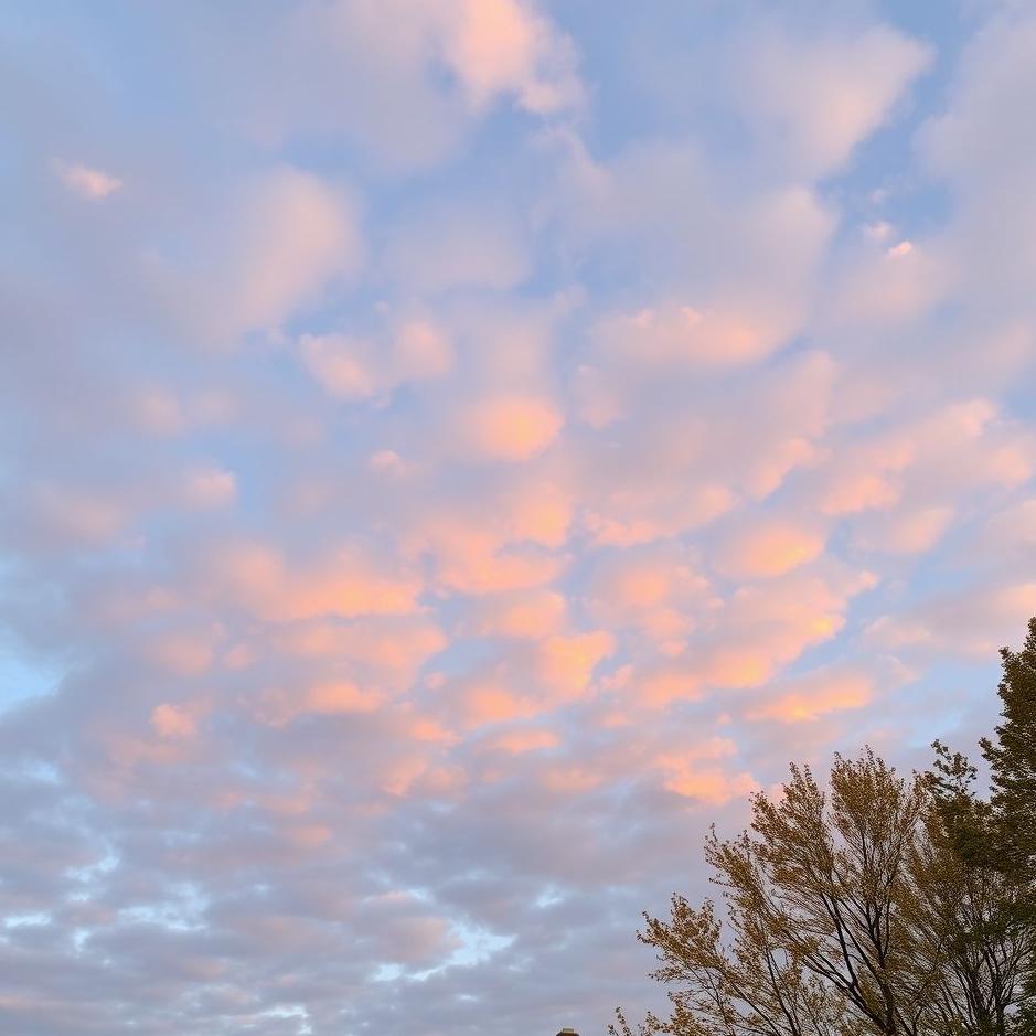 Dream : Dreams About Fall Sky