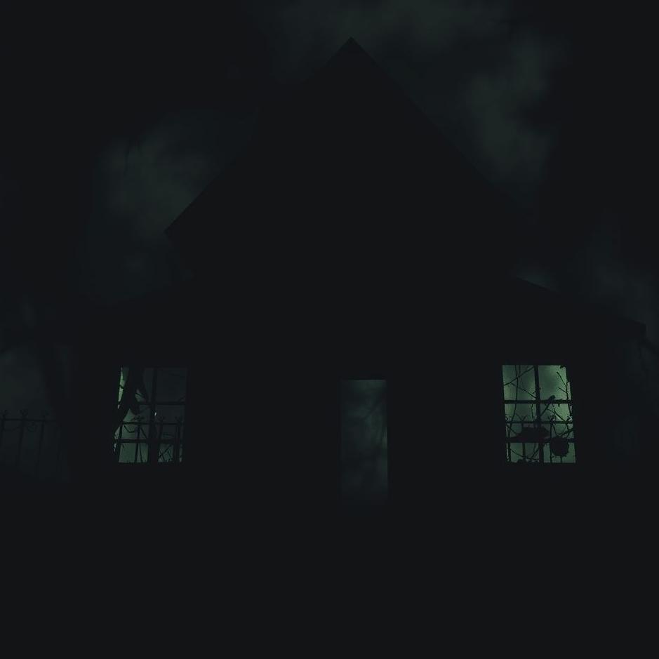 Dream : Entering a dark house in a dream
