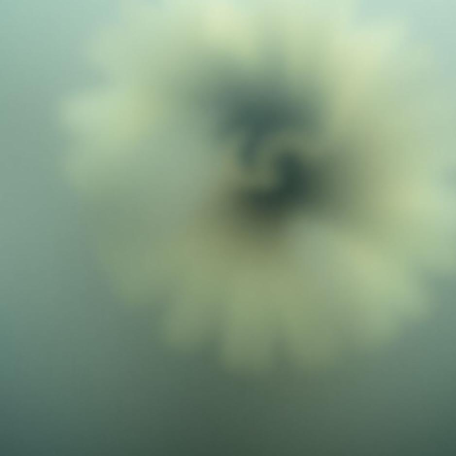 Dream : Faded identity in a dream