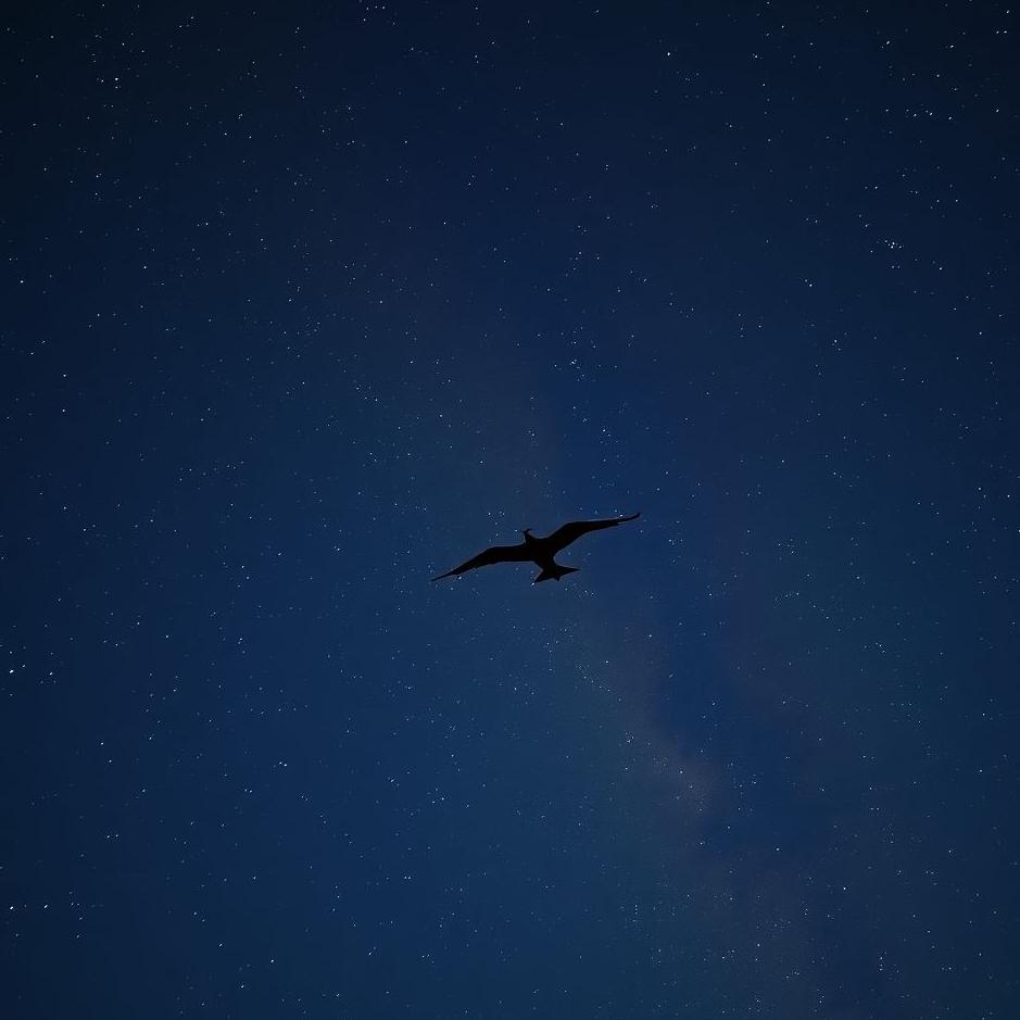 Dream : Flying in the night sky in a dream