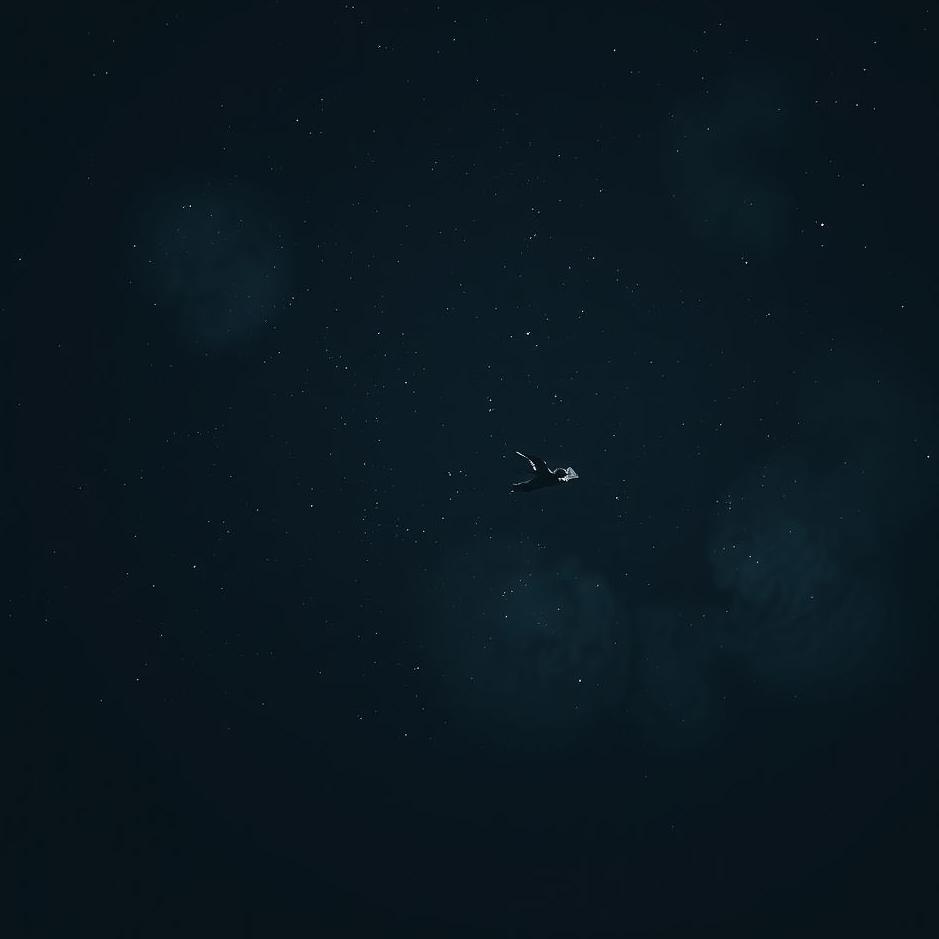 Dream : Flying into the dark in a dream