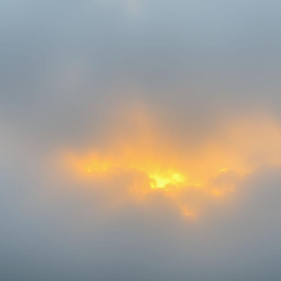 Dream : Gray gold in a dream