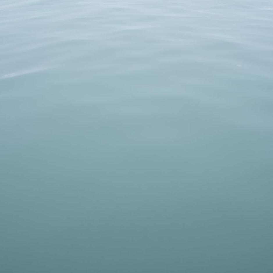 Dream : Gray water in a dream