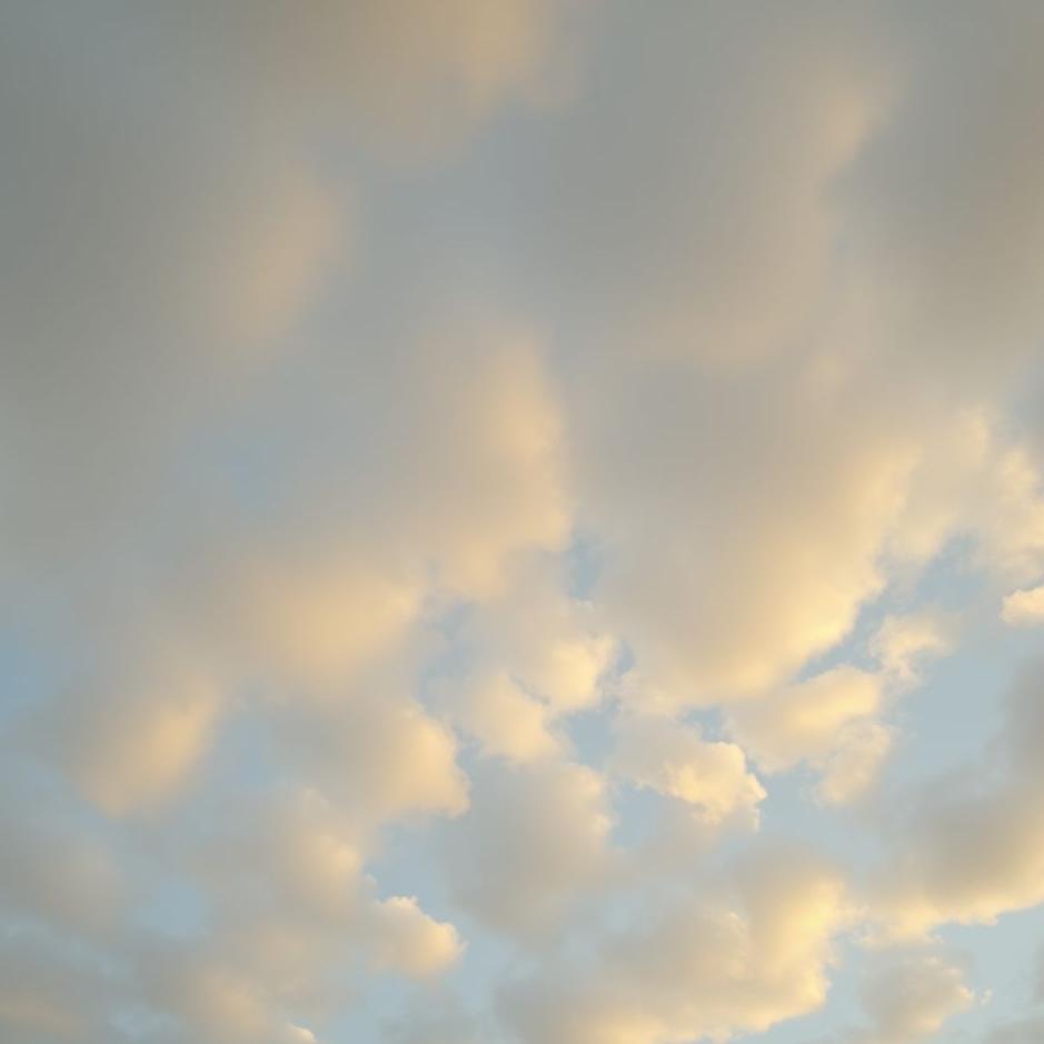 Dream : On the ceiling in a dream