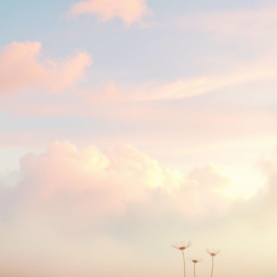 Dream : Pastel colors in a dream