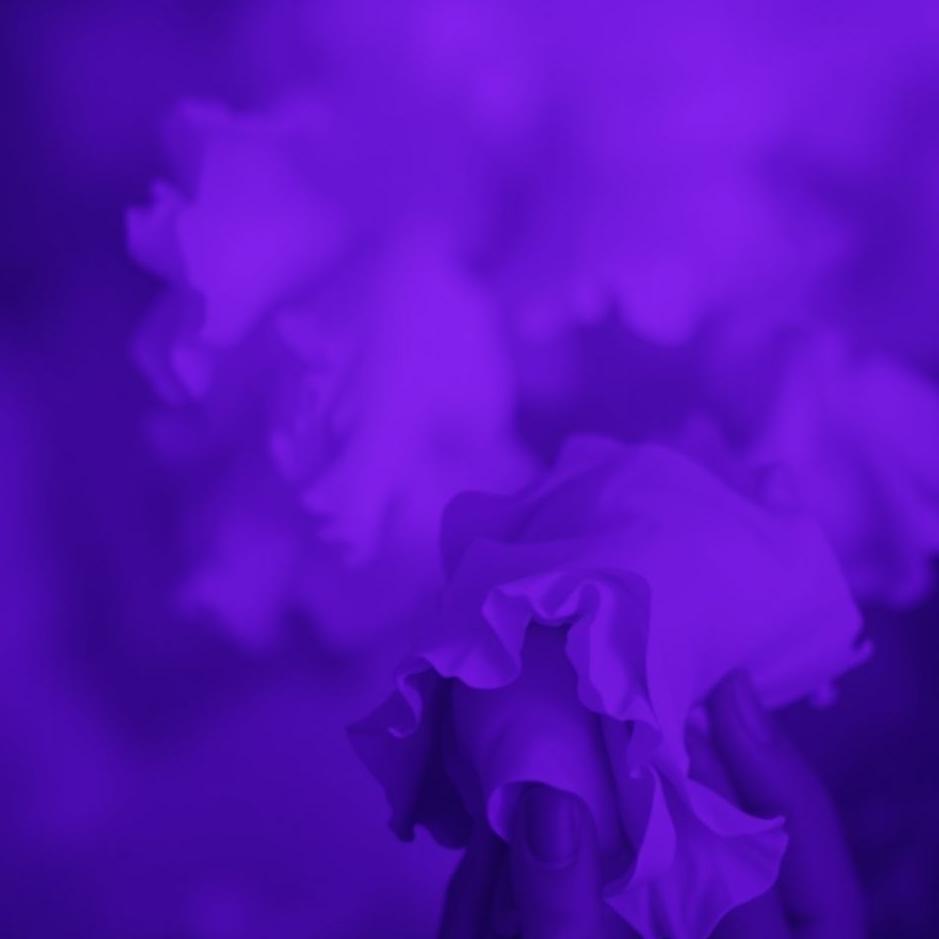 Dream : Purple and black colors in a dream