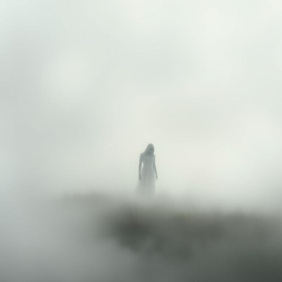 Dream : Seeing a gray coming out in a dream