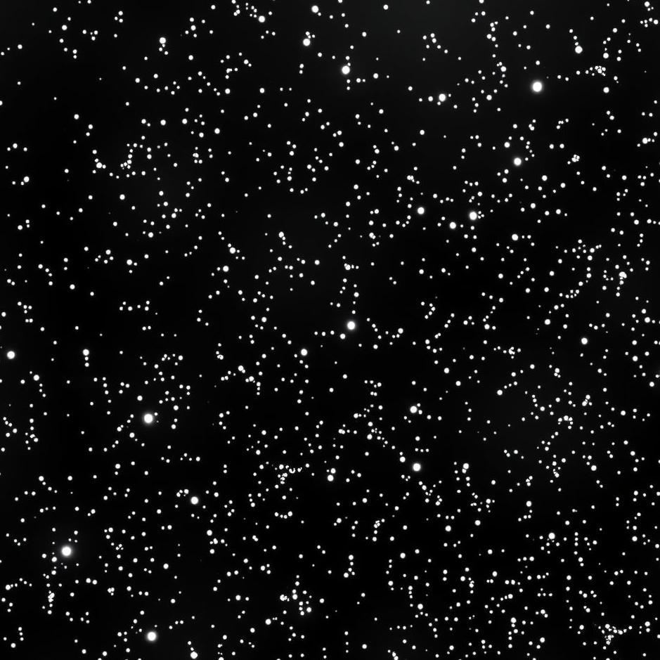 Dream : Shiny black color in a dream