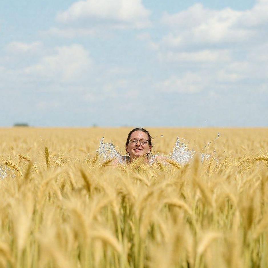 Dream : Swimming in a wheat field 
