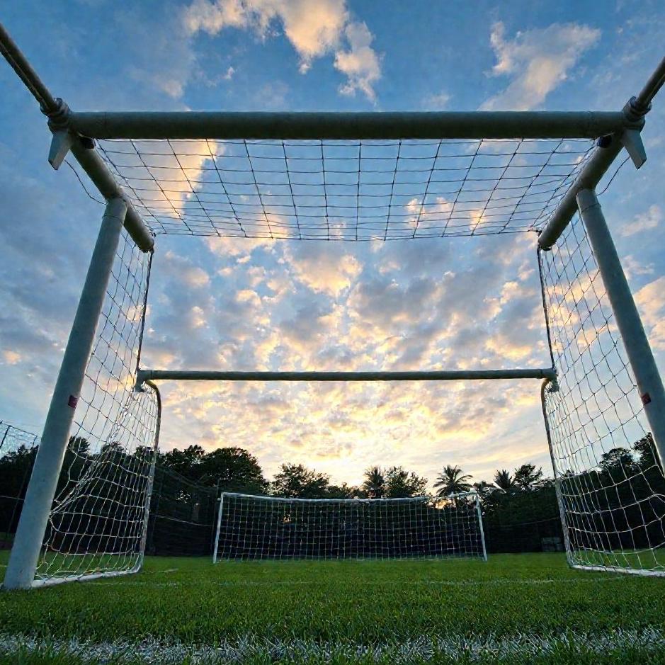 Dream : The bottom of a goal in a dream