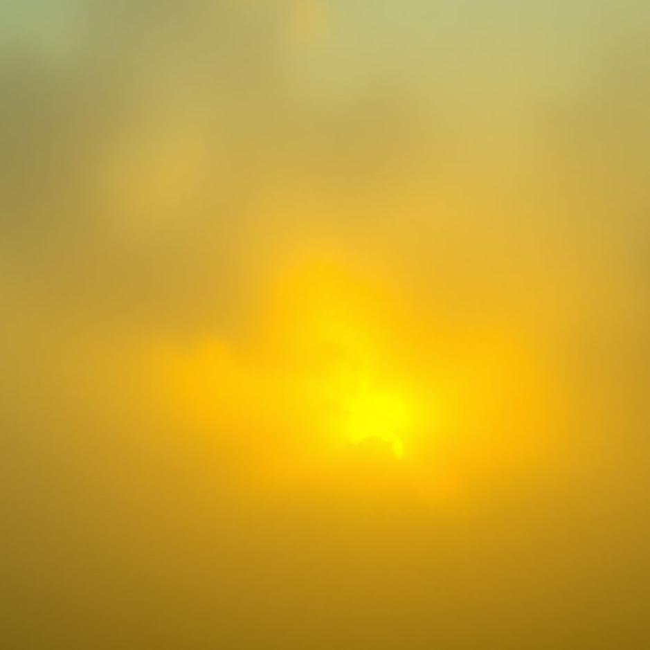 Dream : The color turning yellow in a dream