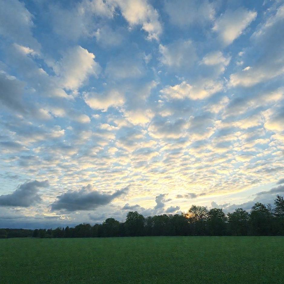 Dream : The sky on the ground in a dream