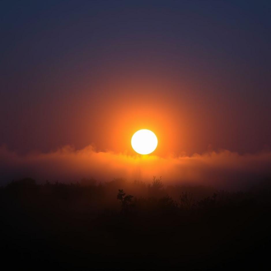 Dream : The sun rising at night in a dream