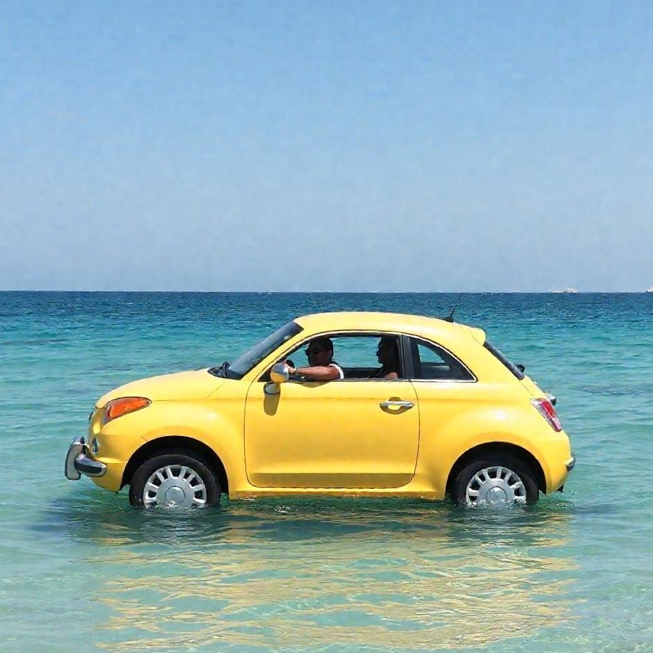 Dream : Visit to go in the water by car