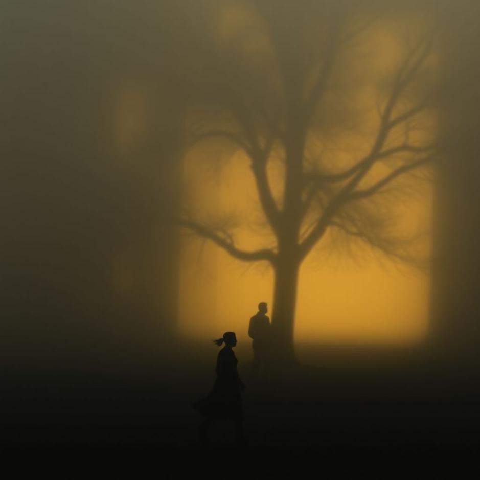Dream Dictionary : Walking in the shadow in a dream