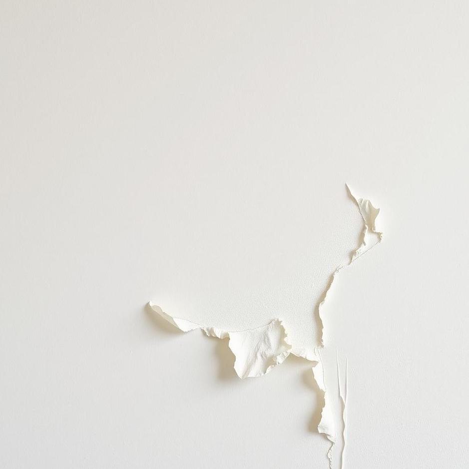 Dream : Wall with peeling plaster in a dream