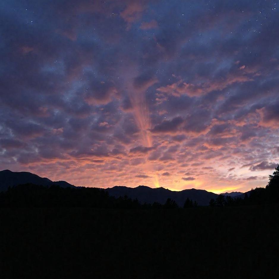 Dream : Wanting to go but not being able to in a dream